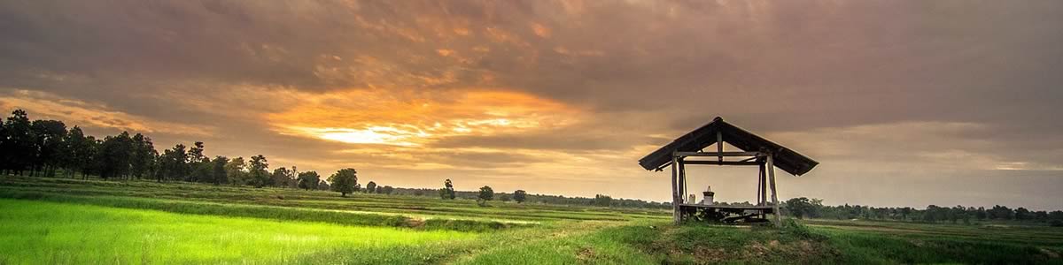 Tanulj thai