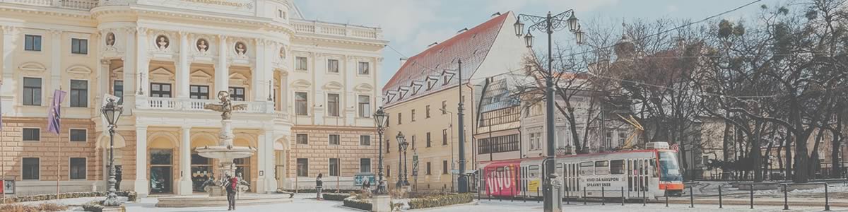 Cursussen slovaaks